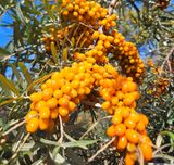 팜모닝 자유주제·자유게시판 게시글 이미지