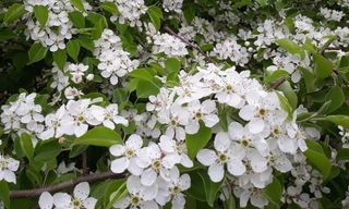 이정운님의 자유주제 · 자유게시판 작성글 사진