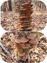 팜모닝 자유주제·자유게시판 게시글 이미지