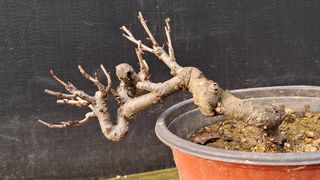 이정운님의 자유주제 · 자유게시판 작성글 사진