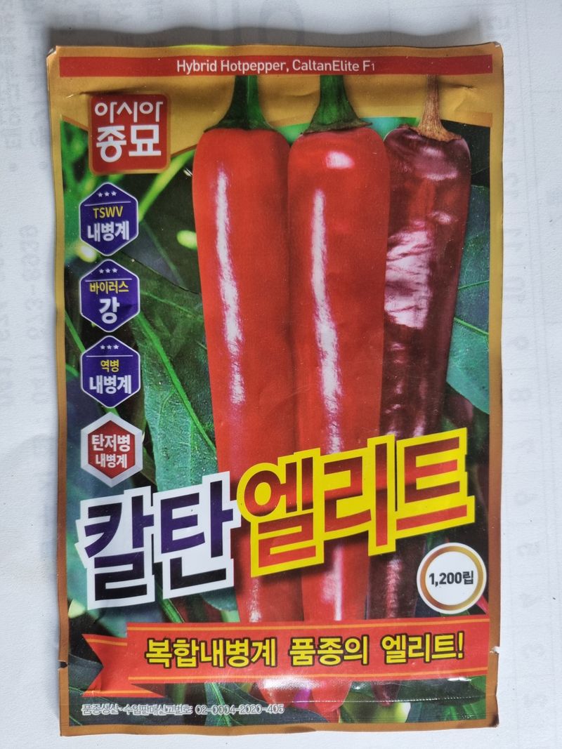 공석래님의 장터 판매 상품 [고추종자 할인판매 ] 첨부 사진