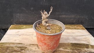 이정운님의 자유주제 · 자유게시판 작성글 사진