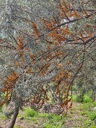 김시헌 님의 자유주제 · 자유게시판 작성글 사진