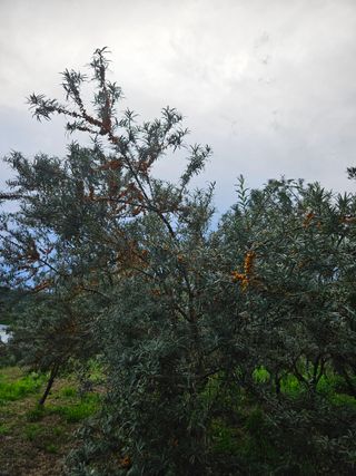 김시헌 님의 자유주제 · 자유게시판 작성글 사진