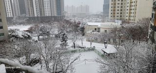 28 268 HQ님의 설날 계획 공유해요 · 참여글 작성글 사진