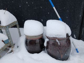 이영미님의 설날 계획 공유해요 · 참여글 작성글 사진