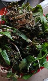 팜모닝 기타작물·영농일지 게시글 이미지