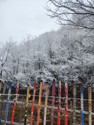 파란농원님의 작성글 사진