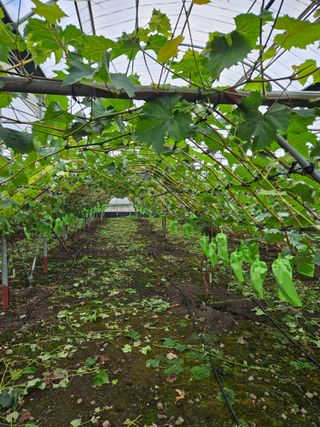 한라봉0909님의 2월 농사 계획 공유해요 · 참여글 작성글 사진