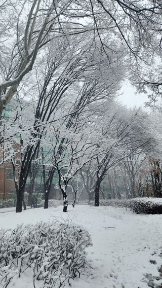 사과6329님의 2월 농사 계획 공유해요 · 참여글 작성글 사진
