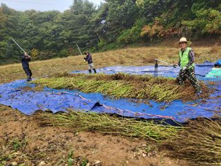 오늘도힘찬농부님의 자유주제 · 자유게시판 작성글 사진