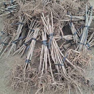 이순기님의 2월 농사 계획 공유해요 · 참여글 작성글 사진