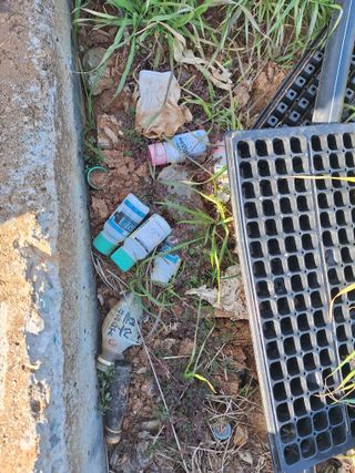 김은숙님의 자유주제 · 자유게시판 작성글 사진