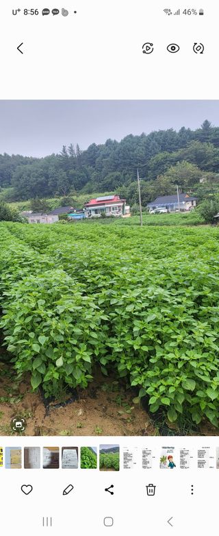 오늘도힘찬농부님의 자유주제 · 자유게시판 작성글 사진