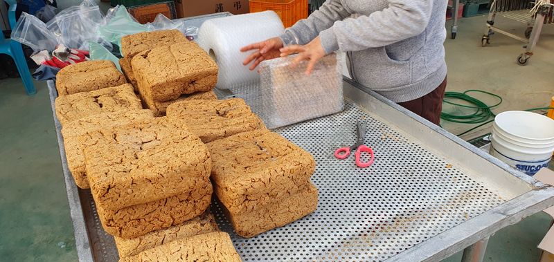음두임님의 장터 판매 상품 [전통메주] 첨부 사진