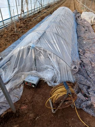 879412님의 2월 농사 계획 공유해요 · 참여글 작성글 사진