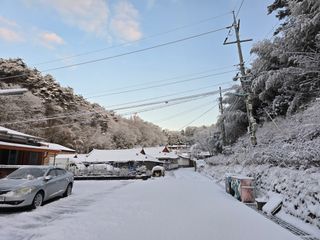 정광일님의 자유주제 · 자유게시판 작성글 사진
