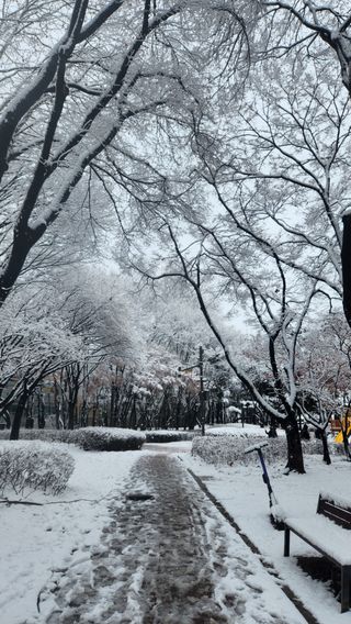 사과6329님의 2월 농사 계획 공유해요 · 참여글 작성글 사진