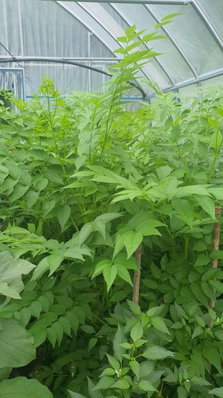 정태권님의 작성글 사진