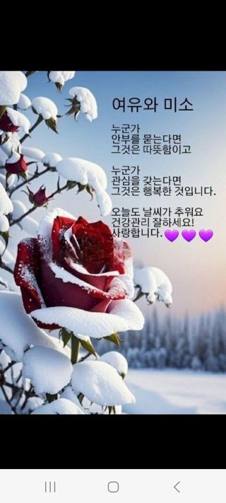 작은별님의 자유주제 · 자유게시판 작성글 사진