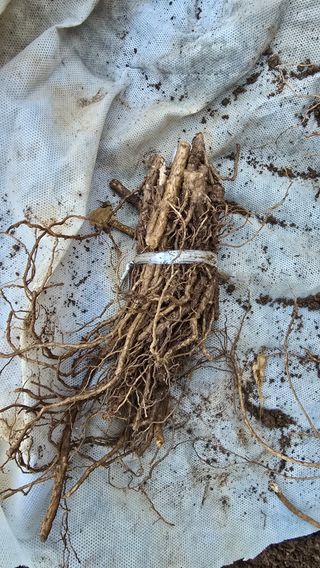 정태권님의 작성글 사진