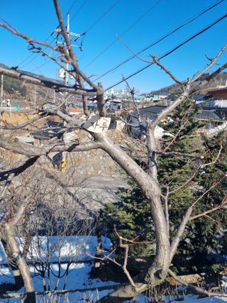 김용대님의 자유주제 · 자유게시판 작성글 사진