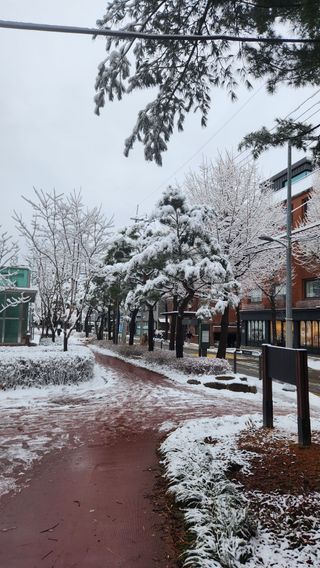 사과6329님의 2월 농사 계획 공유해요 · 참여글 작성글 사진