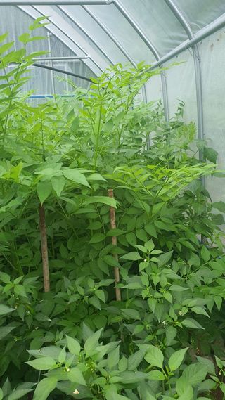 정태권님의 작성글 사진