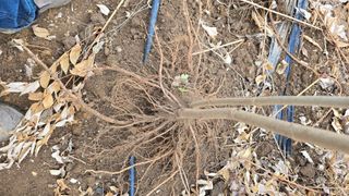 정태권님의 작성글 사진