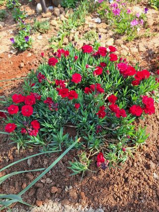 김은숙님의 작성글 사진