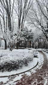 팜모닝 2월 농사 계획 공유해요·참여글 게시글 이미지