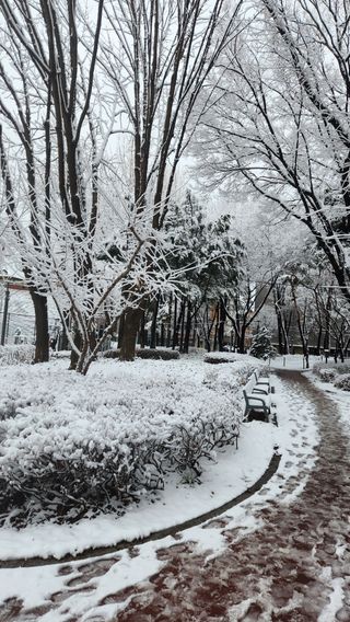 사과6329님의 2월 농사 계획 공유해요 · 참여글 작성글 사진