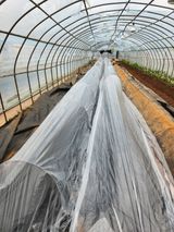 팜모닝 2월 농사 계획 공유해요·참여글 게시글 이미지