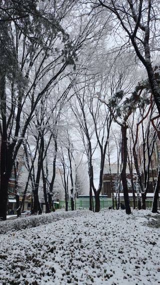 사과6329님의 2월 농사 계획 공유해요 · 참여글 작성글 사진