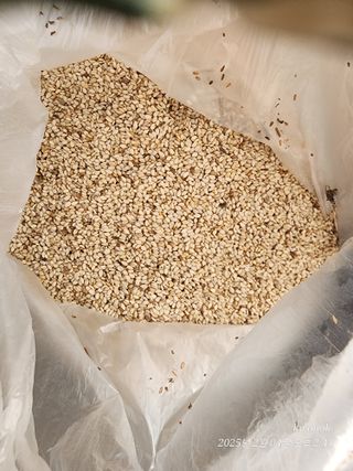 정권옥님의 자유주제 · 자유게시판 작성글 사진