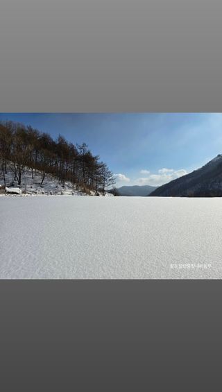황둔얼렁뚱땅체리농부님의 자유주제 · 자유게시판 작성글 사진