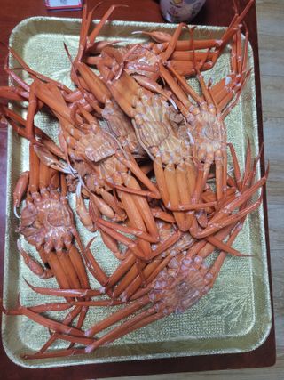 사과6329님의 2월 농사 계획 공유해요 · 참여글 작성글 사진