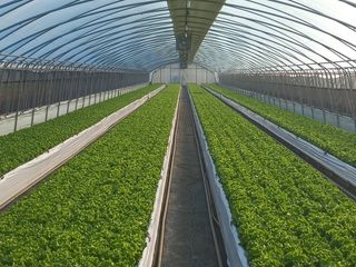 백만영님의 자유주제 · 자유게시판 작성글 사진