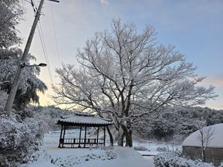 정광일님의 자유주제 · 자유게시판 작성글 사진