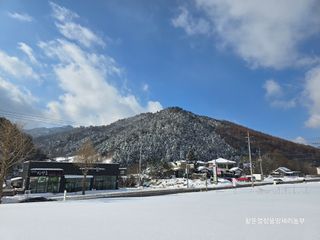 황둔얼렁뚱땅체리농부님의 자유주제 · 자유게시판 작성글 사진