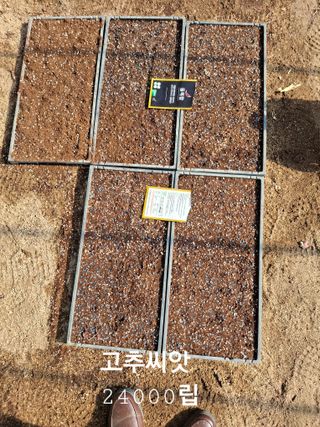 황병철님의 2월 농사 계획 공유해요 · 참여글 작성글 사진