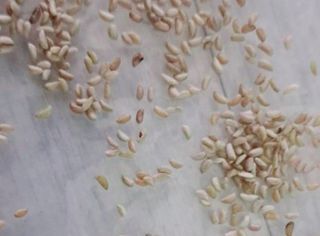 김종덕님의 작성글 사진