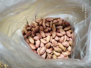 정권옥님의 자유주제 · 자유게시판 작성글 사진