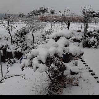 김종옥님의 자유주제 · 자유게시판 작성글 사진