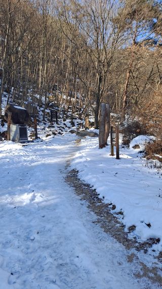 MSG0074님의 자유주제 · 자유게시판 작성글 사진