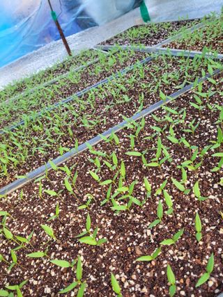 김종옥님의 자유주제 · 자유게시판 작성글 사진