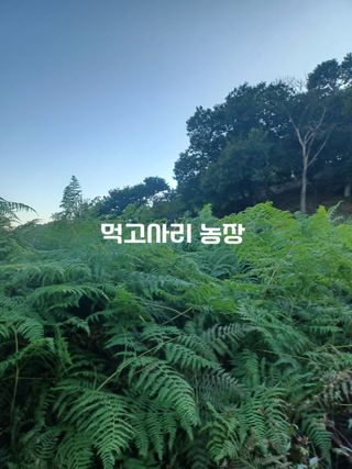 무료지식나눔 팜닥터님의 자유주제 · 사진전 작성글 사진