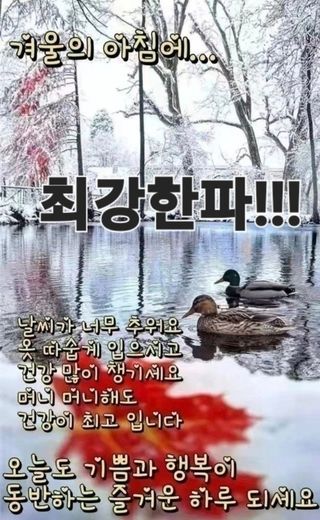 최재만님의 자유주제 · 자유게시판 작성글 사진
