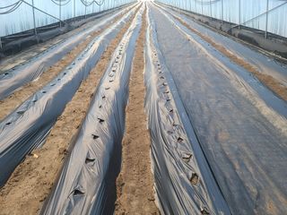 머위농장님의 자유주제 · 자유게시판 작성글 사진