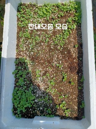 무료지식나눔 팜닥터님의 자유주제 · 사진전 작성글 사진